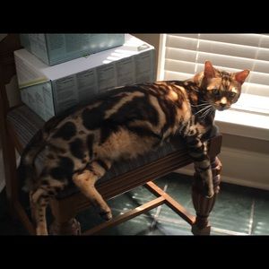 Meet your Posher, Wanda